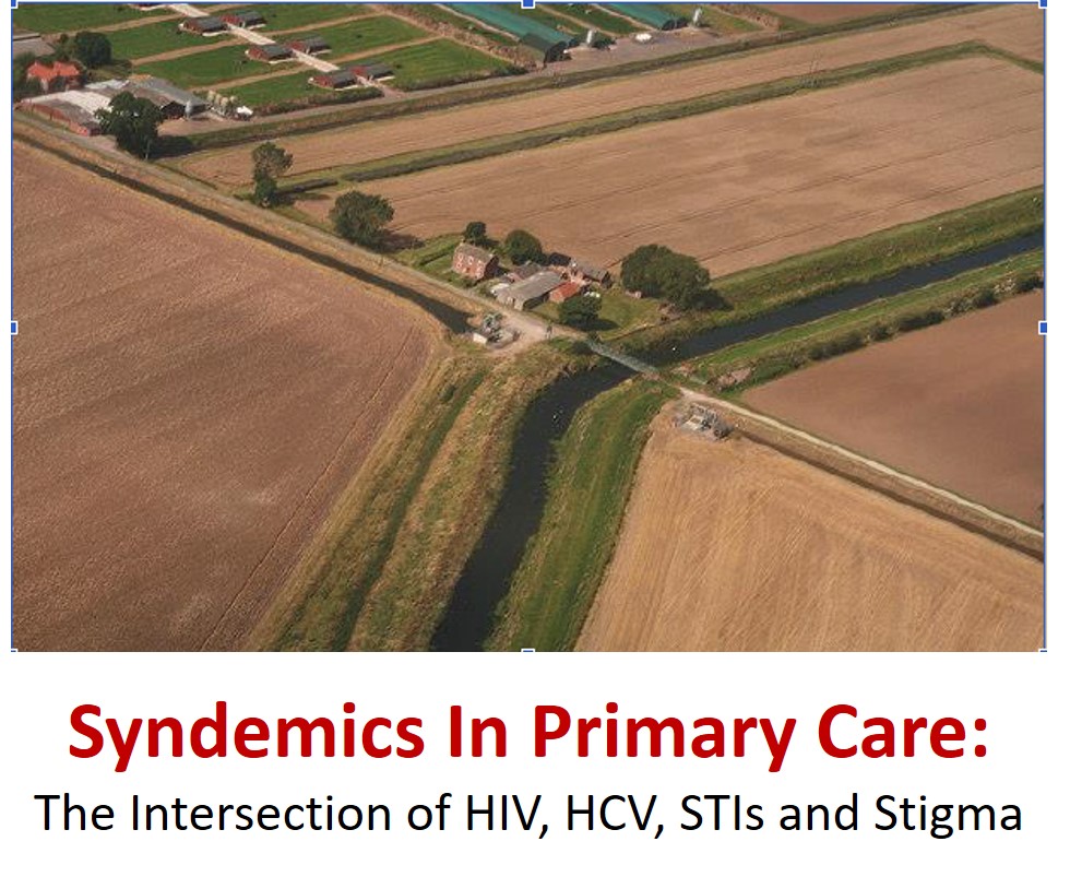 Syndemics in Primary Care: The Intersection of HIV, HCV, STIs and Stigma Banner